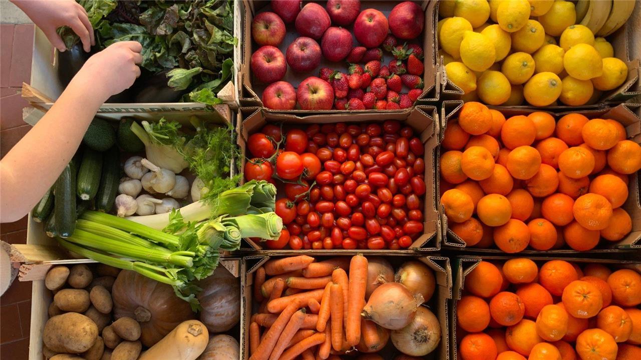 Precios de alimentos básicos se moderan luego de fuerte choque inflacionario en 2022